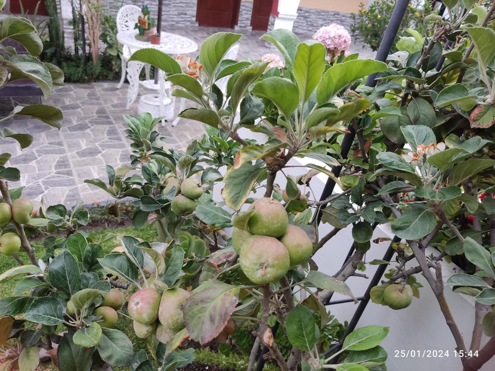 Casa Baraquel Hotel Арекуипа Екстериор снимка